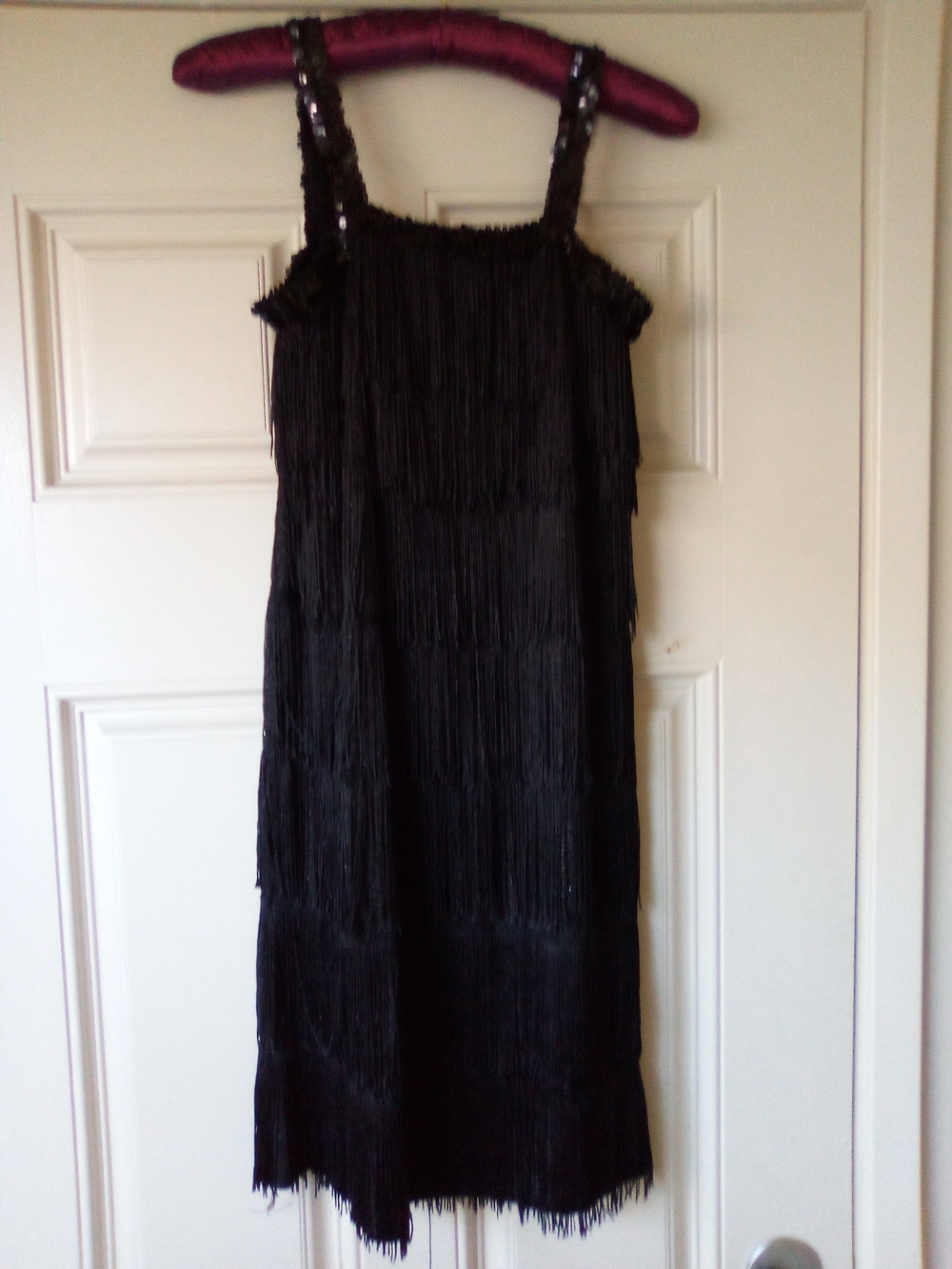 Sincere Party Girls Flapper Dress XL 12-14 Fringe Sequin Straps